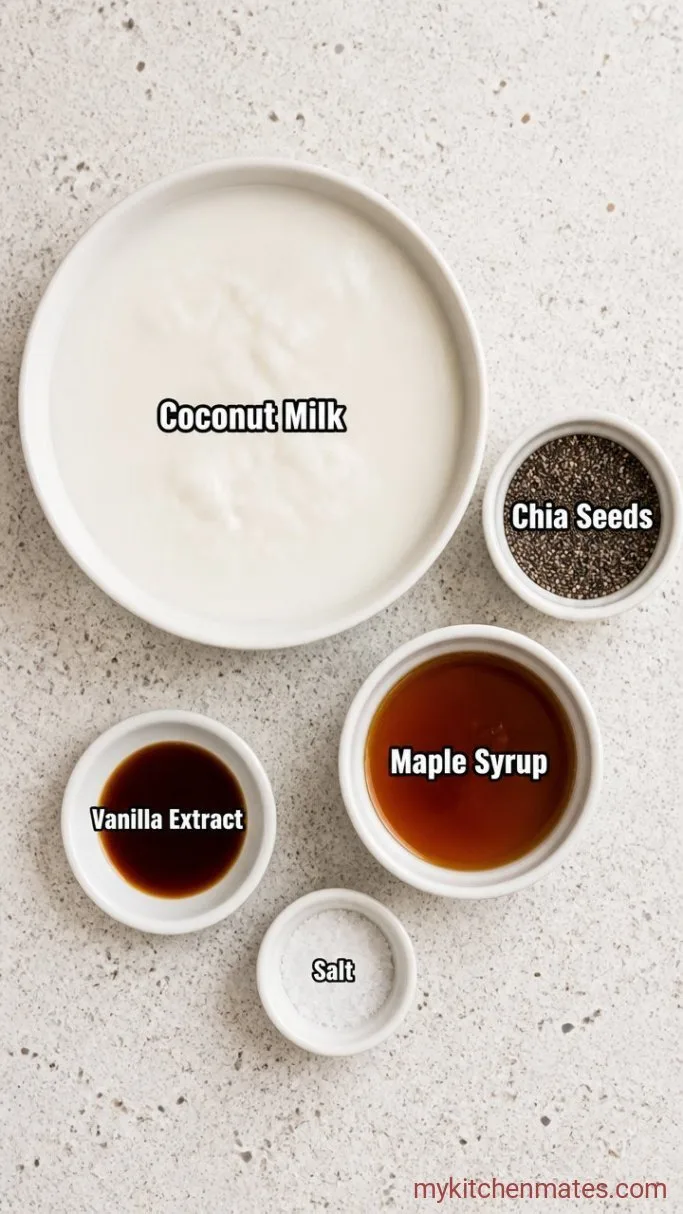 3-Ingredient Coconut Milk Chia Pudding Ingredients