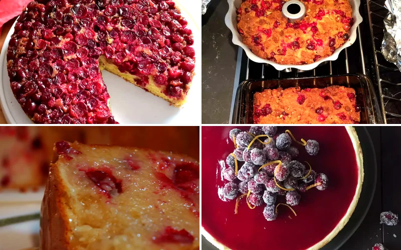15 Festive Cranberry Cakes Perfect for Holiday Baking cranberry cake recipes featured