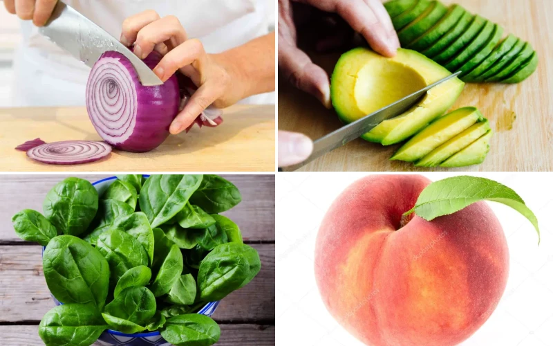 20 Surprising Glutathione Rich Foods Nutritionists Swear By 20 Surprising Glutathione Rich Foods Nutritionists Swear By