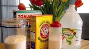 homemade dishwasher detergent recipe vinegar