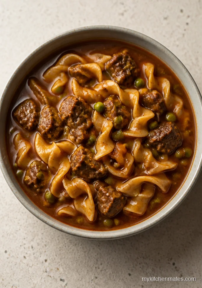 Instant Pot Beef Noodle Soup