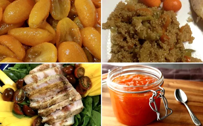 10 Amazing Kumquat Dishes to Make This Cold Season kumquat recipes featured