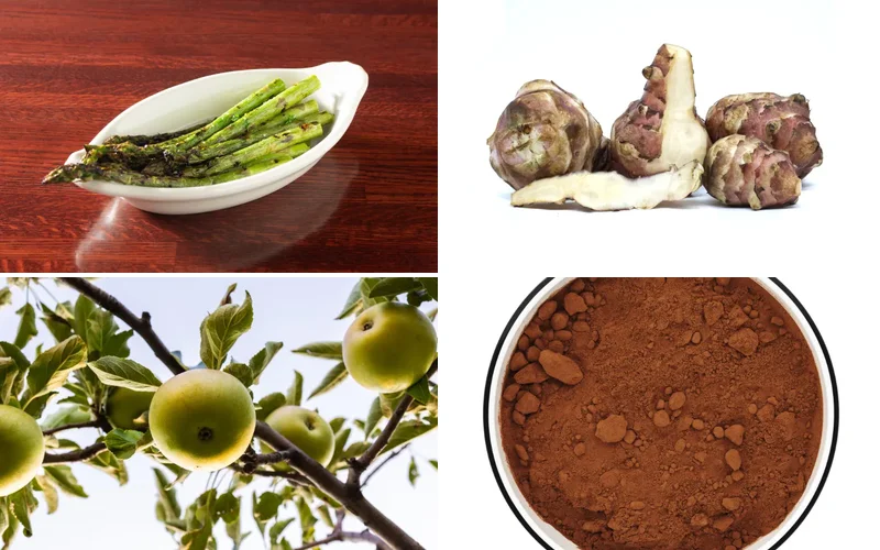 prebiotic-foods-list collage