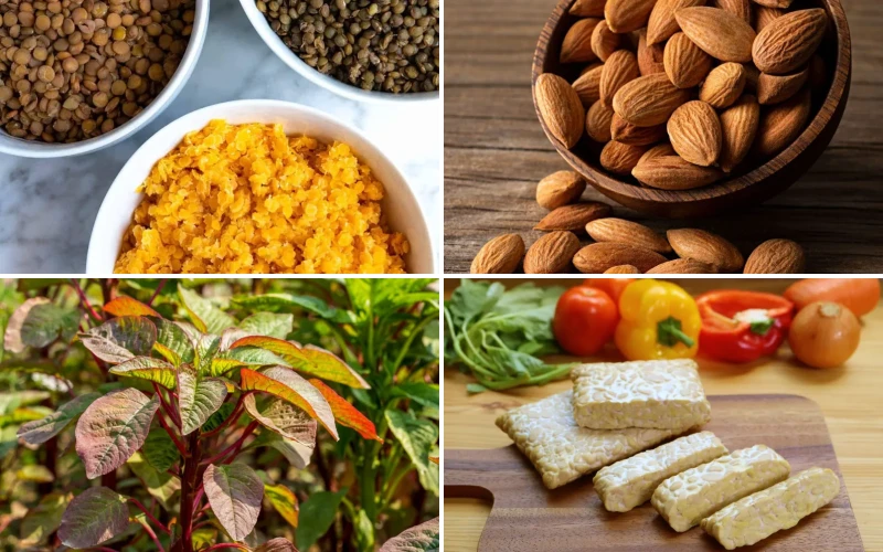 27 Life-Changing Protein Rich Foods Vegetarian That Are Worth Trying 27 Life-Changing Protein Rich Foods Vegetarian That Are Worth Trying