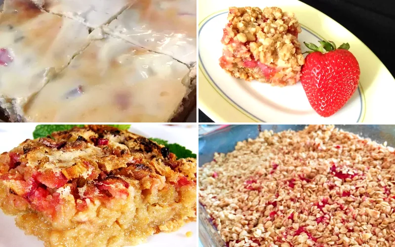 10 Amazing Rhubarb Bar Recipes You Need to Try Today rhubarb bars featured