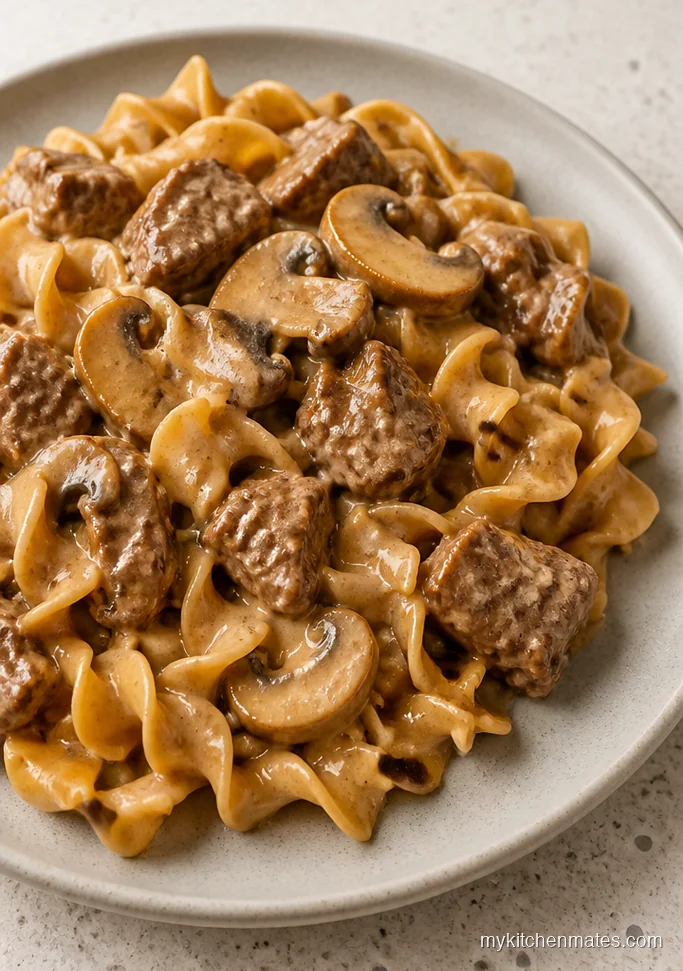 10 Crock Pot Pasta Recipes for Cozy Weeknight Dinners Slow Cooker Beef Stroganoff Pasta