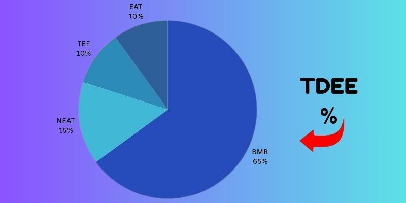 TDEE Calculator: Everythng You Need To Know NOW! tdee