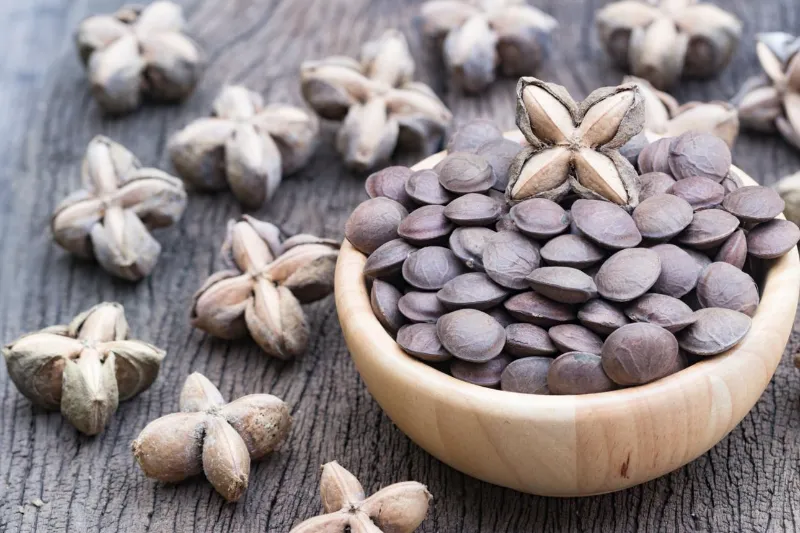 🌰 Sacha Inchi Seeds