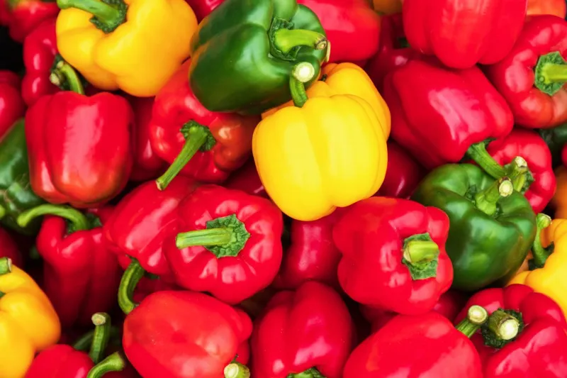 🌶️ Bell Peppers 1