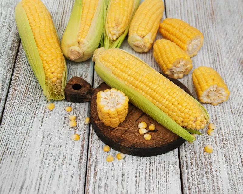 🌽 Corn 1