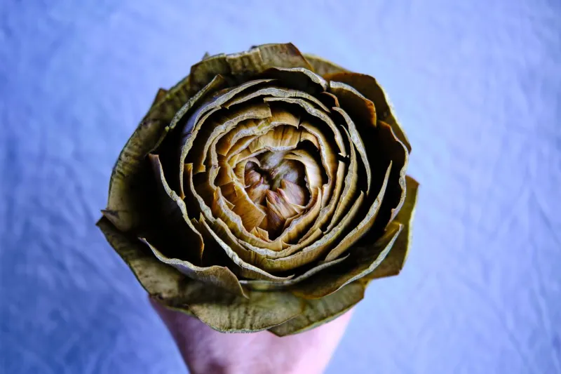 🌿 Artichokes