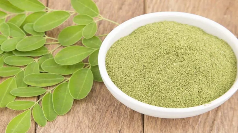 🌿 Moringa