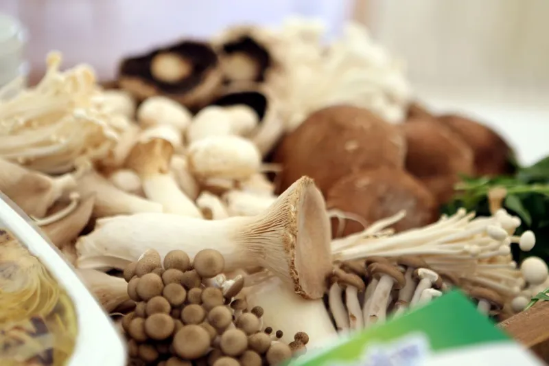 🍄 Mushrooms white portobello