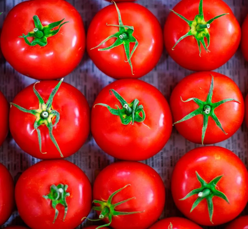 🍅 Tomatoes