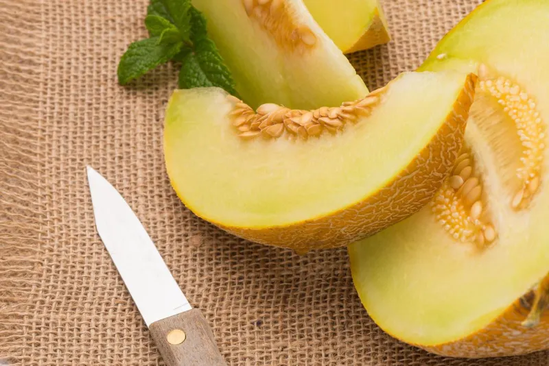 🍈 Honeydew Melon