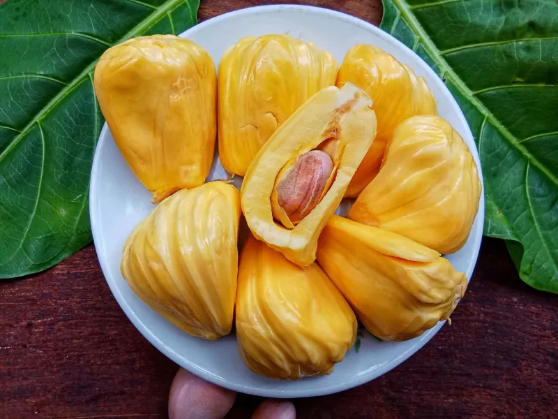 🍈 Jackfruit