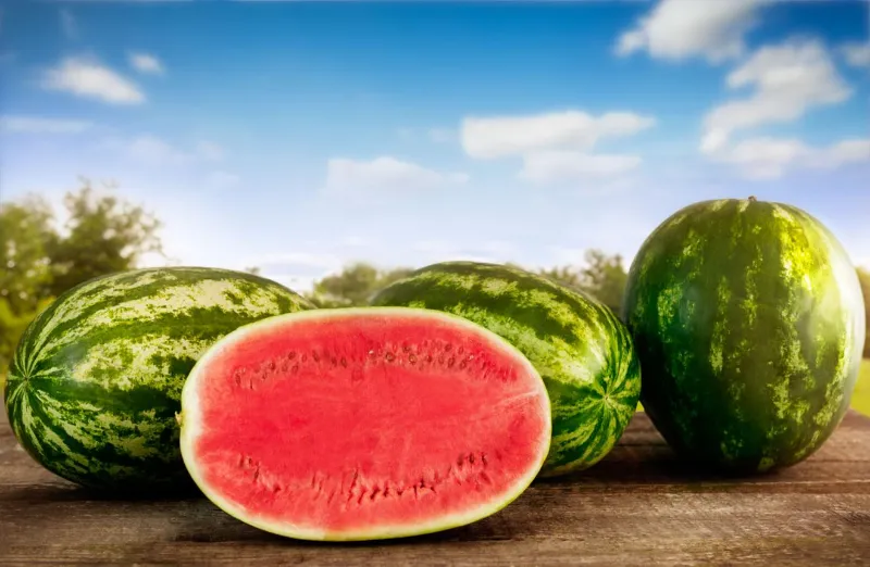 🍉 Watermelon