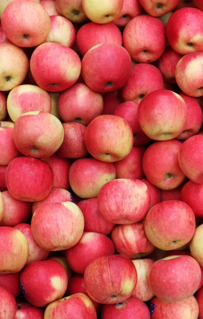 🍎 Apples 2