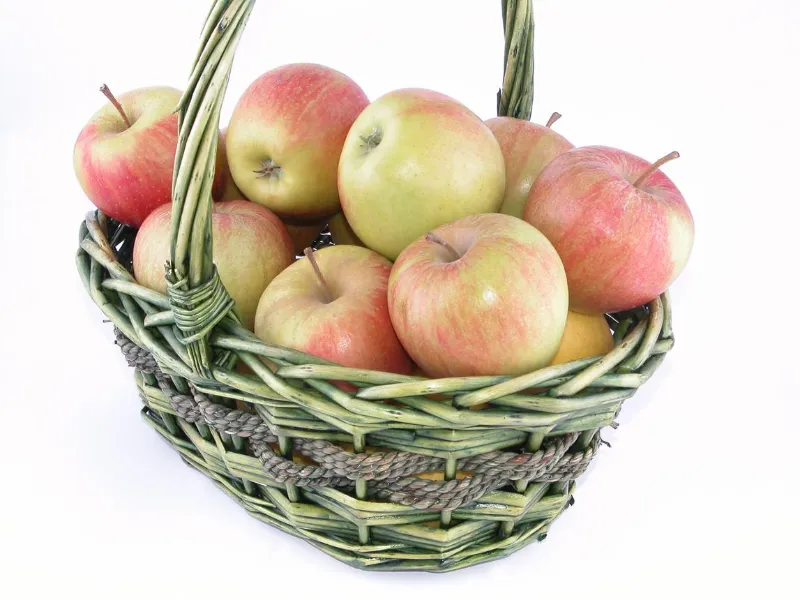 🍎 Apples SnPyhiL0yADKdEOzW0ozEgyJql7pdH8rgqykZ3MjqYqpVQPtJjM YNdnyb1ITlnx NjM3kLgmfPjDsnhOv rc6E4P1sjWkCCpoNk2ipDPwSKA72kNPLsuCvPCh1acMHDGbQkkkMP Uf4EEOsQrLFa5efLA