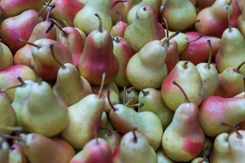 🍐 Pears 1