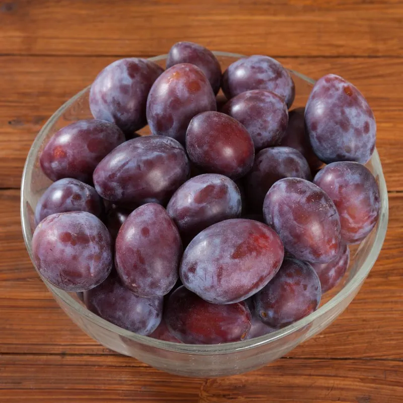 🍑 Plums 1