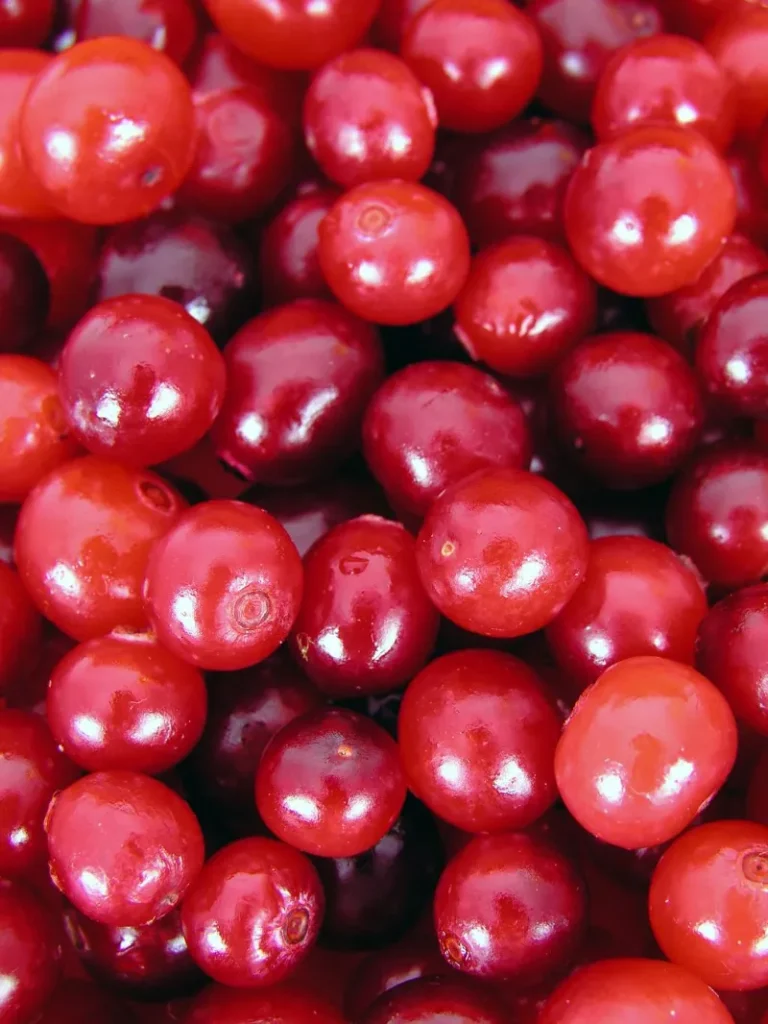 🍒 Cranberries