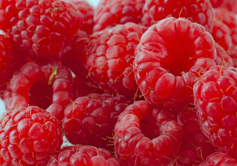 🍓 Raspberries