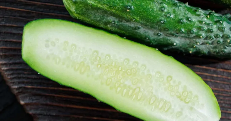 💧 Water and Hydrating Foods