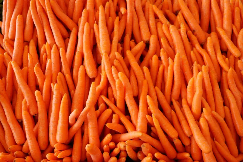 🥕 Carrots 4