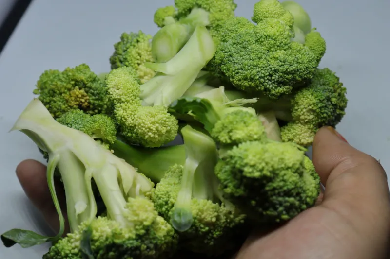 🥦 Broccoli 7