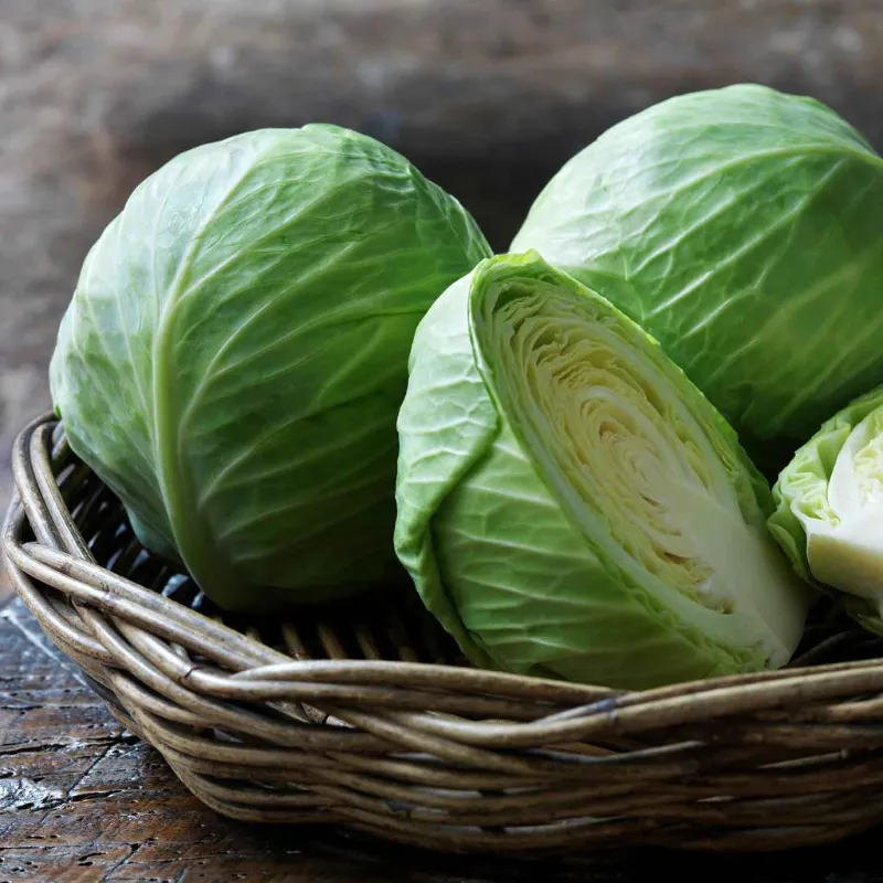 🥬 Cabbage 4