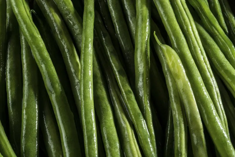 🥬 Green Beans 1
