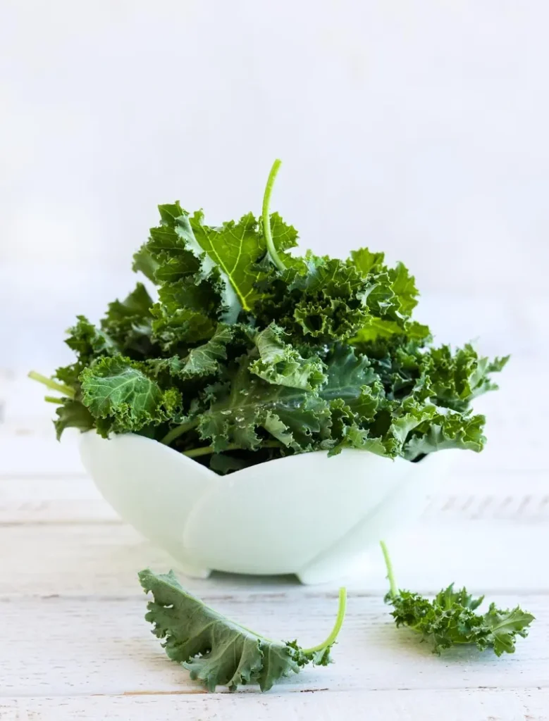 🥬 Kale 1