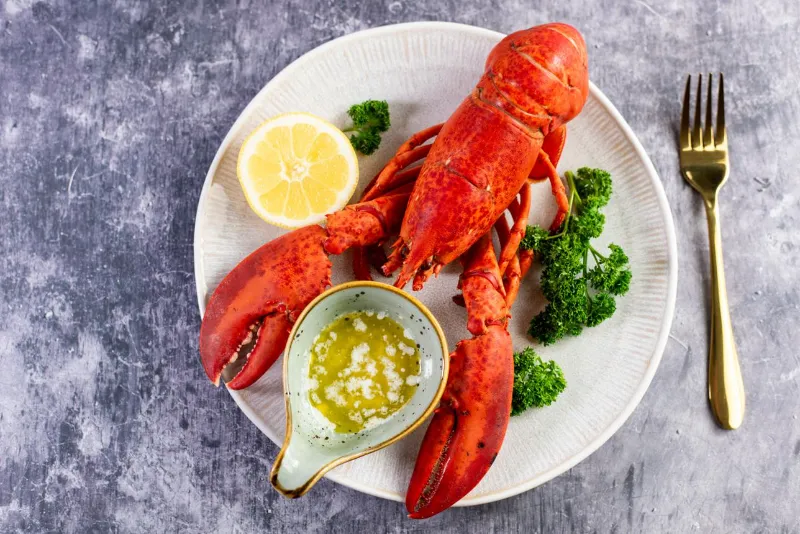 🦞 Lobster