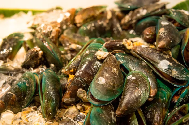 🦪 Mussels