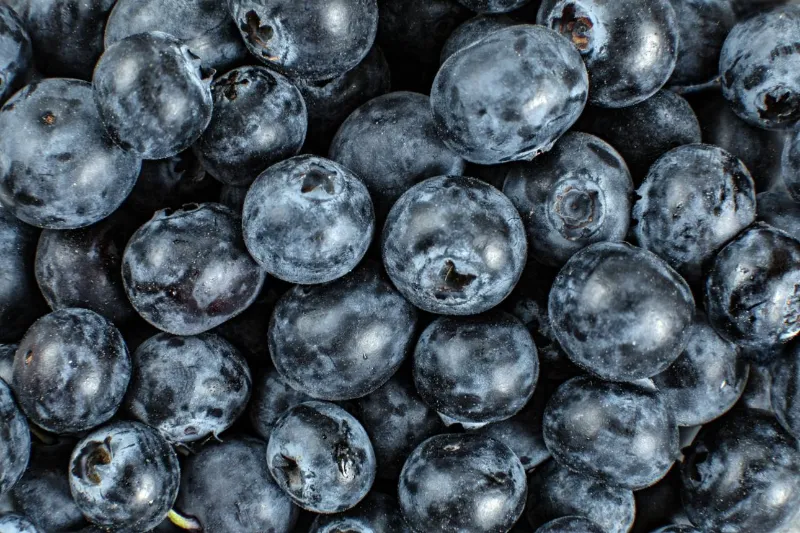 🫐 Blueberries 3