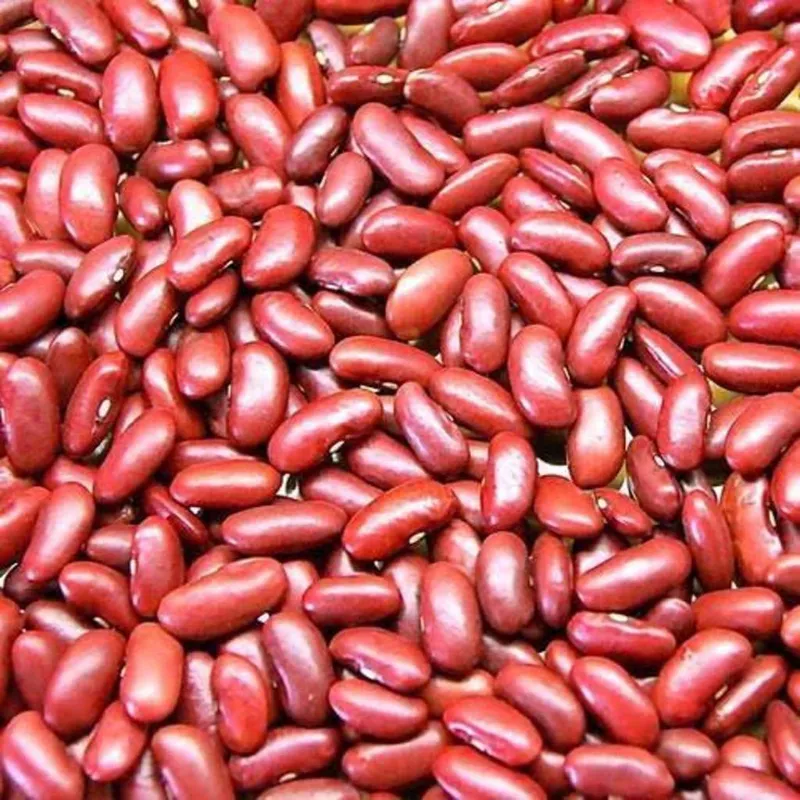 🫘 Kidney Beans